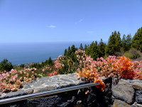 La Palma Bilder Atlantico Blick aufs Meer