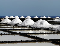 Meersalz Saline 2