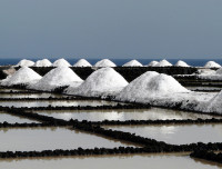 Meersalz Saline 3