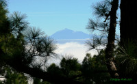 Naturschutzgebiet nahe in der Ferne Teide Teneriffa