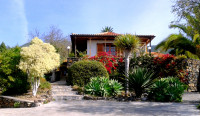 La Palma Bilder Landhaus Tijarafe Vorgarten